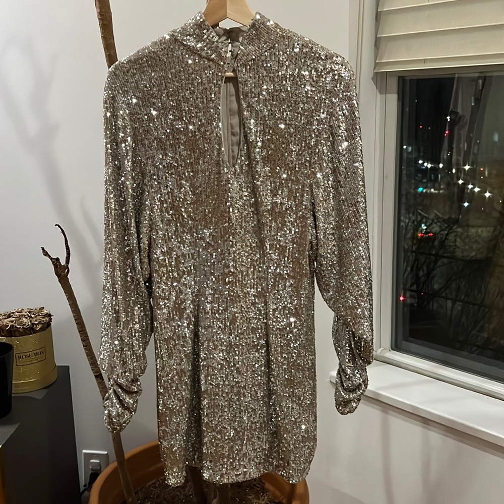 Worn only once Ronny Kobo Lauper Silver Sequin Mini Dress